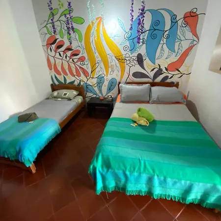Alegria Hostel-3