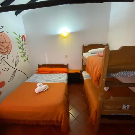 Alegria Hostel-2